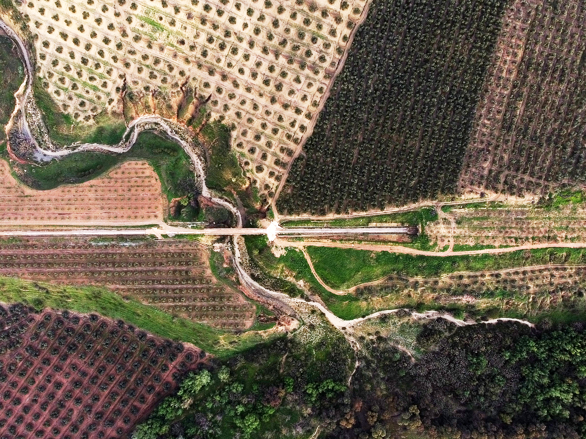 Trazado de via Ferrera Baeza-Utiel 