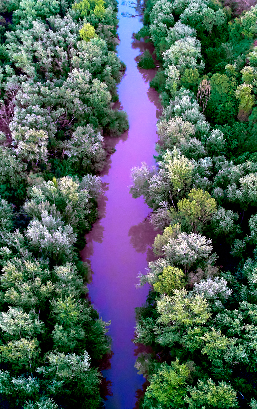 Río Guadalimar al atardecer