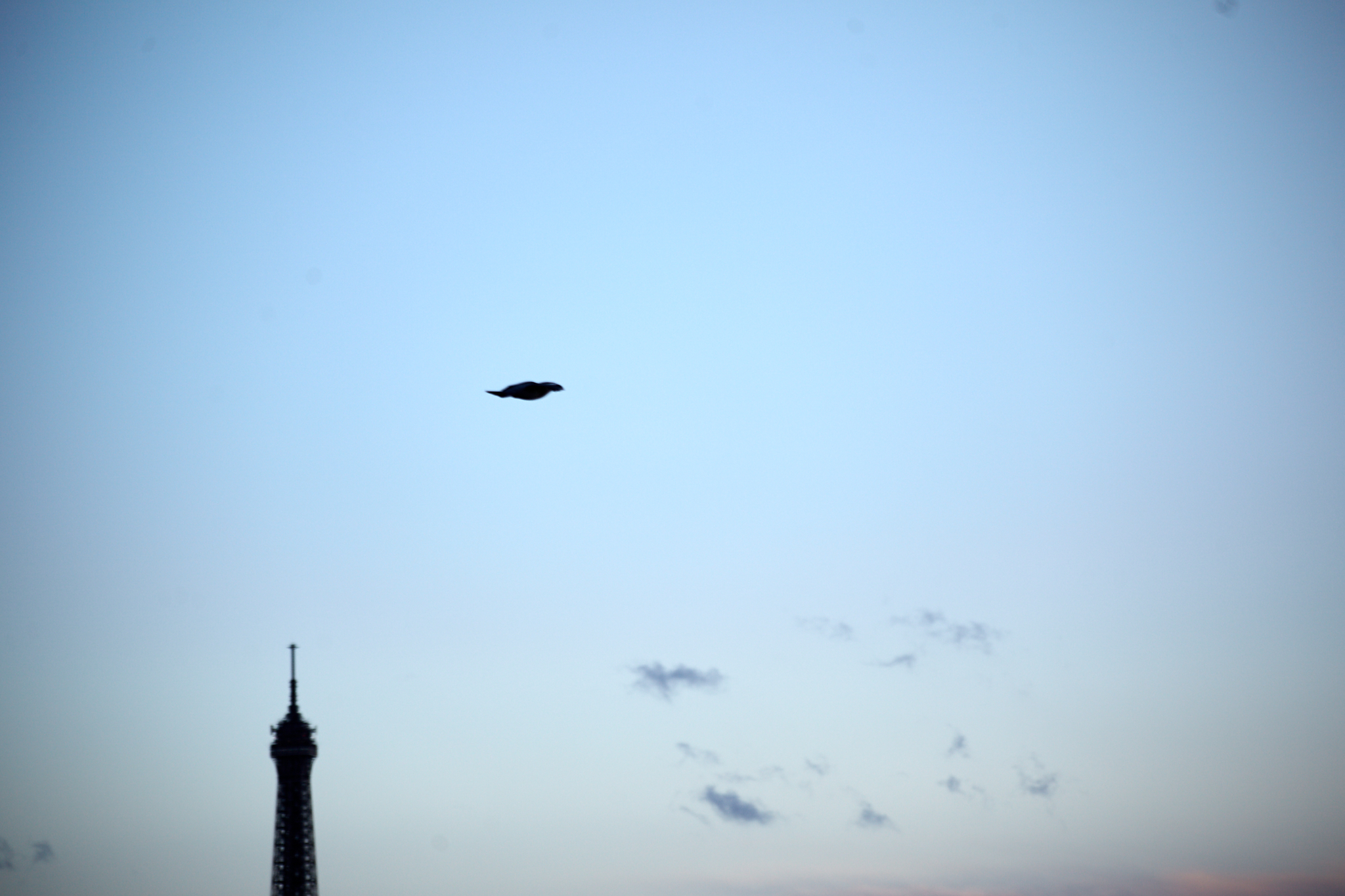 Ovni volando la torre Eiffel 